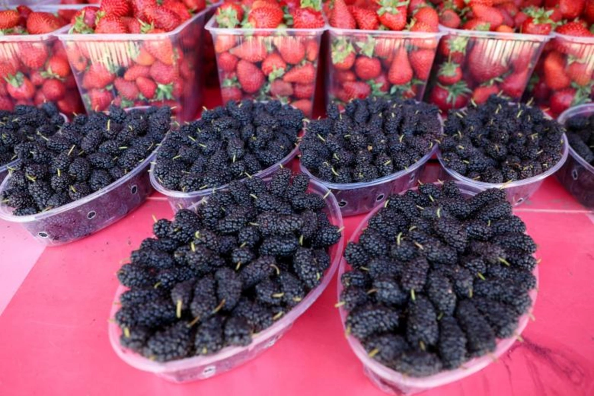 Doctor warned about serious danger of a well-known berry
