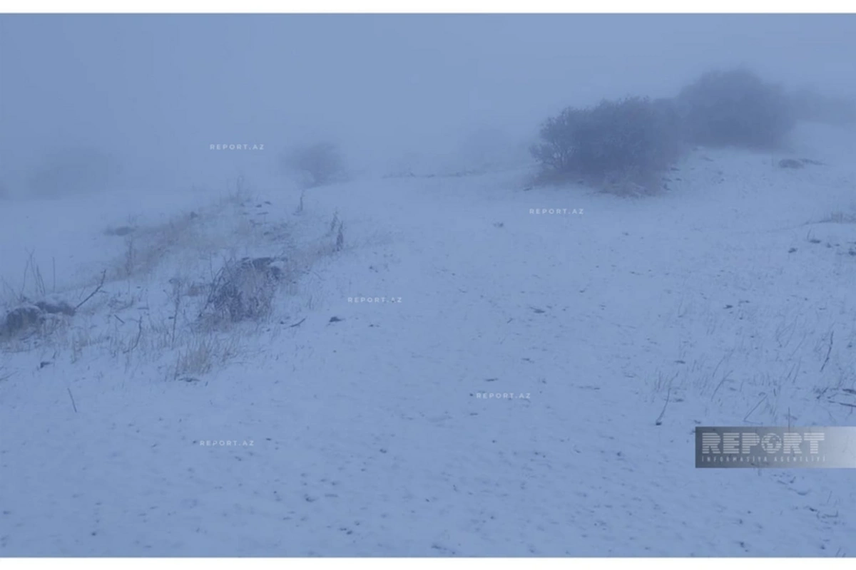 Ordubadın yüksək dağlıq ərazilərində qarın hündürlüyü 20 sm-ə çatıb