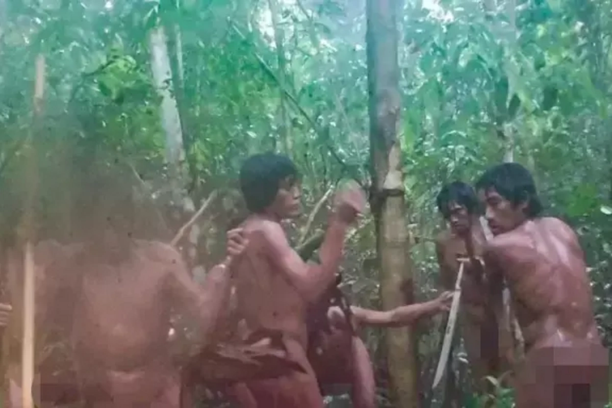 Amazonda svilizasiya ilə əlaqəsi olmayan qəbilənin görüntüləri yayıldı Amazonda svilizasiya ilə əlaqəsi olmayan qəbilənin görüntüləri yayıldı