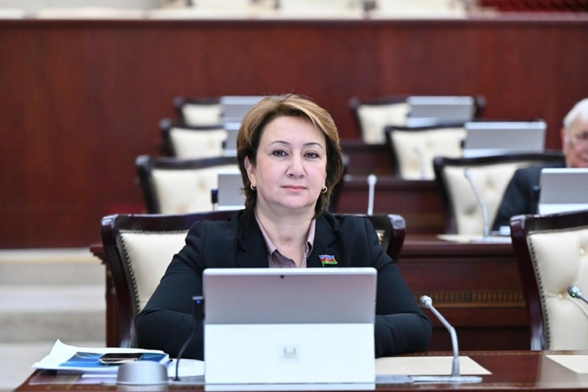 Mehriban Vəliyeva: AXCP kimi qurumlar potensial təhlükə mənbəyidir