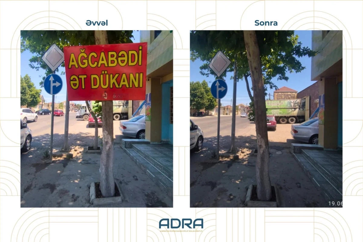 Ağaclara qanunsuz yerləşdirilən 267 reklam qurğusu söküldü