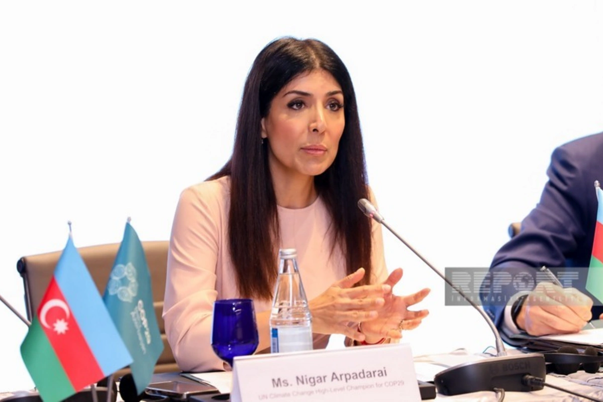 Nigar Arpadarai: Qlobal İqlim Fəaliyyəti Gündəliyini irəliyə aparmaq olar