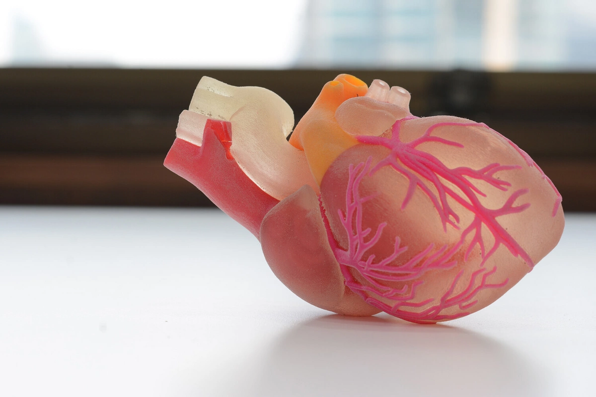 Ученых удивило влияния рака на работу сердца