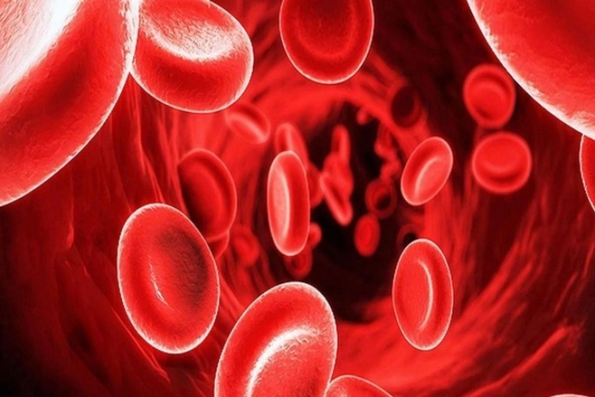 Анемия ослабляет память и внимание? Отвечает специалист-эксперт Минздрава