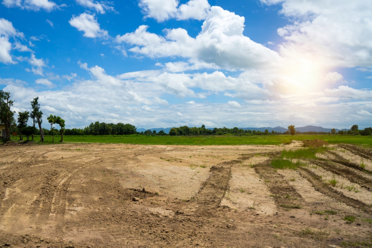 Bu rayonlarda torpaqlar ucuz qiymətə satılır - SİYAHI