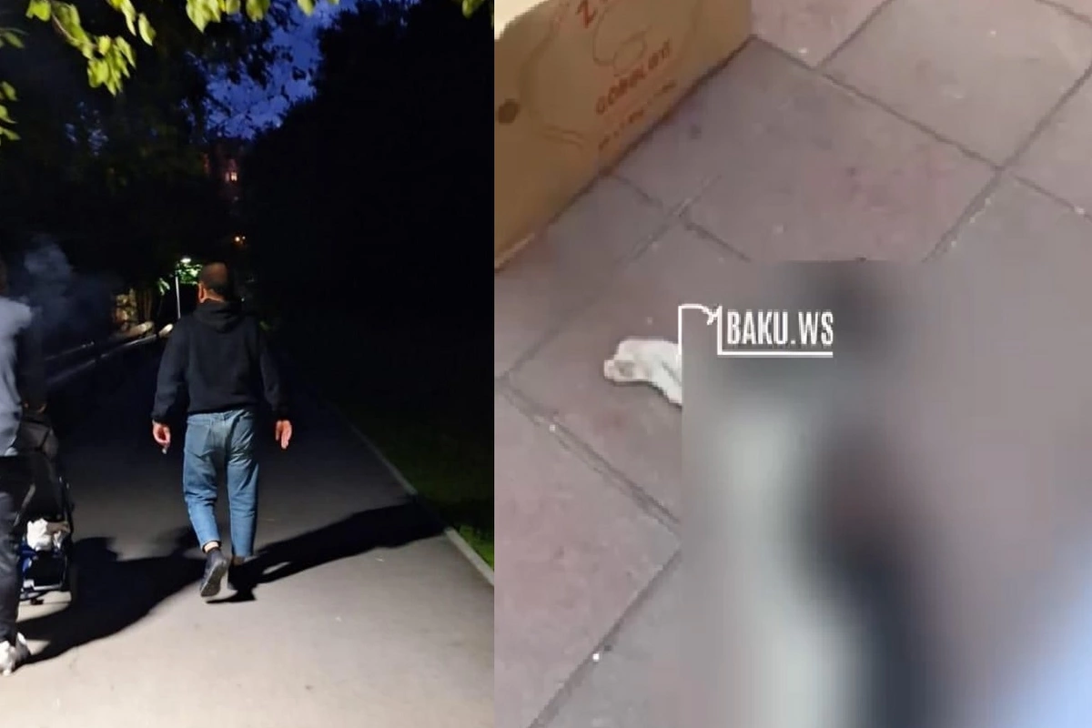 Bakıda pişiklərə işgəncə verərək öldürən manyak PEYDA OLUB - GÖRÜNTÜLƏR