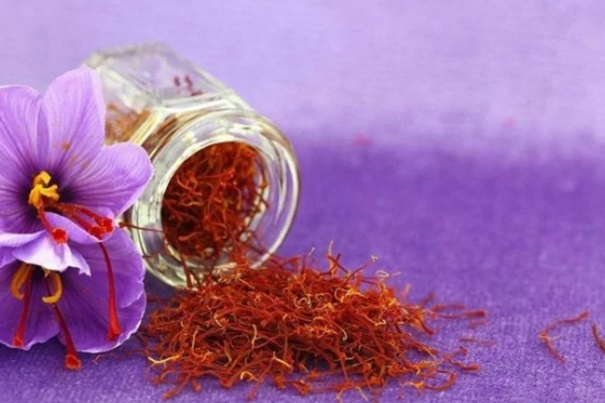 Abşeronun qırmızı qızılı - Süfrələrimizə dad qatan məhsulun istehsalı üçün fermerlərə nə qədər subsidiya verilir?