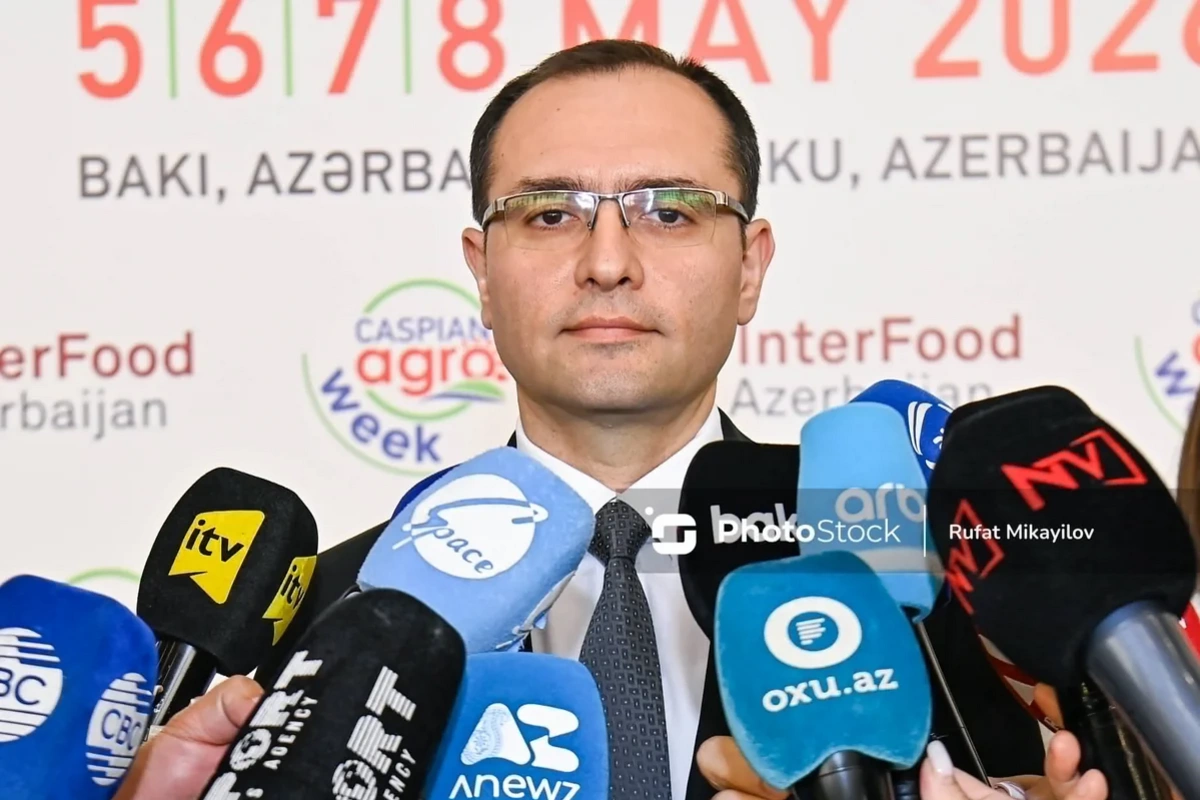 Nazir: Yağışlar taxılçılığa müsbət, meyvəçiliyə mənfi təsir edə bilər