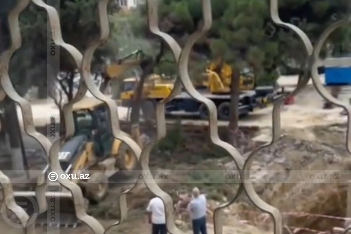 В Наримановском районе Баку вырубаются деревья - ЖАЛОБА В Наримановском районе Баку вырубаются деревья - ЖАЛОБА
