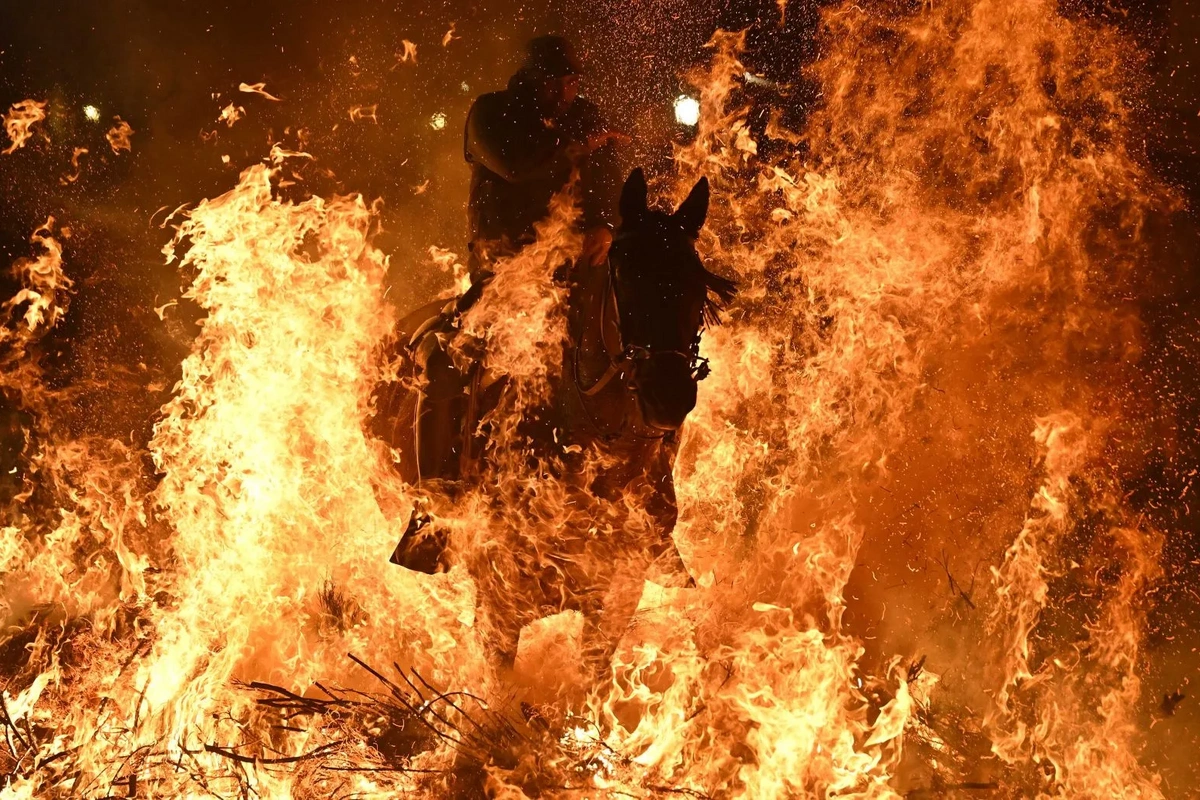 İspaniyada qorxulu anlar yaşandı: Las Luminarias festivalı çərçivəsində atlar alov üzərində İspaniyada qorxulu anlar yaşandı: Las Luminarias festivalı çərçivəsində atlar alov üzərində