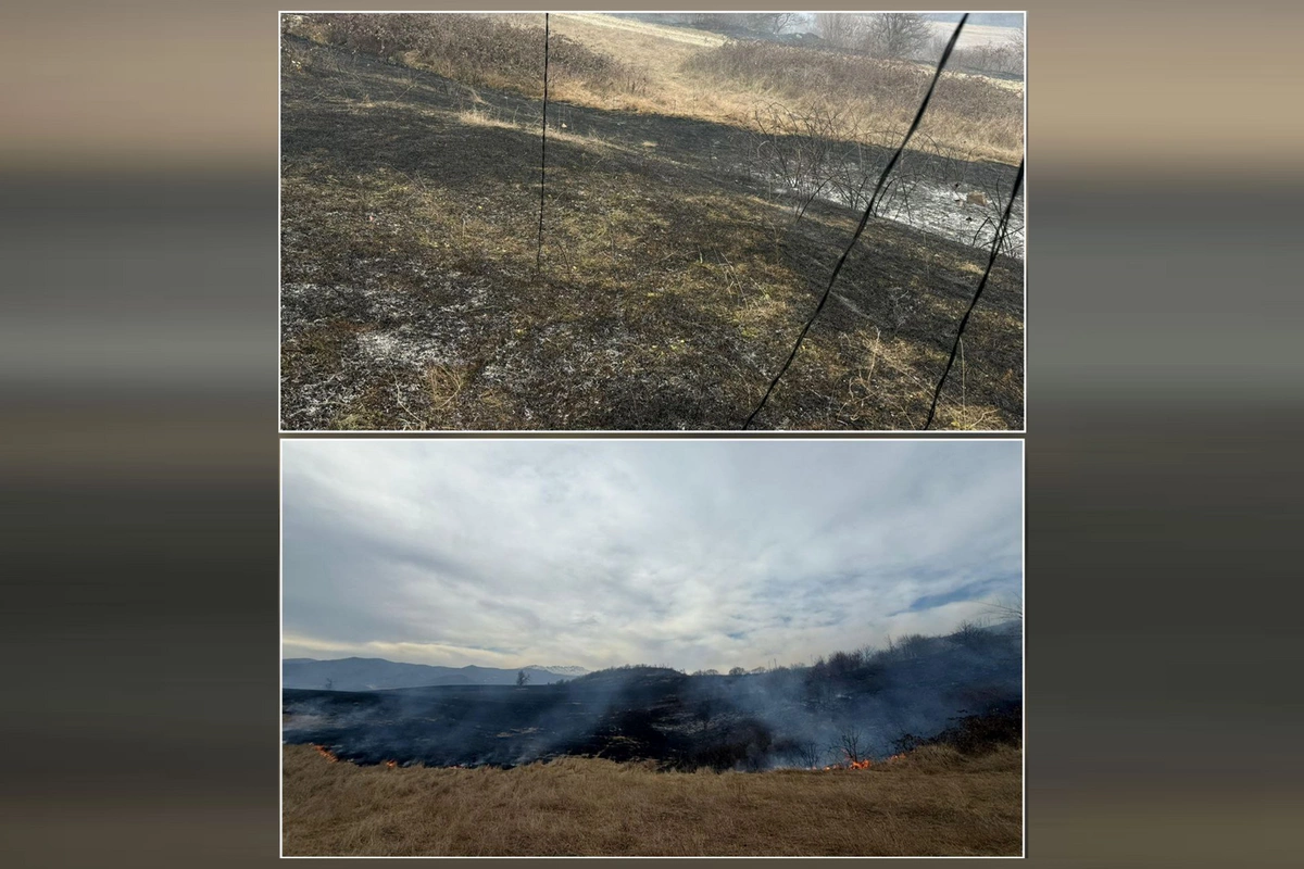 Xocalıda yanğına səbəb olan şəxs saxlanılıb