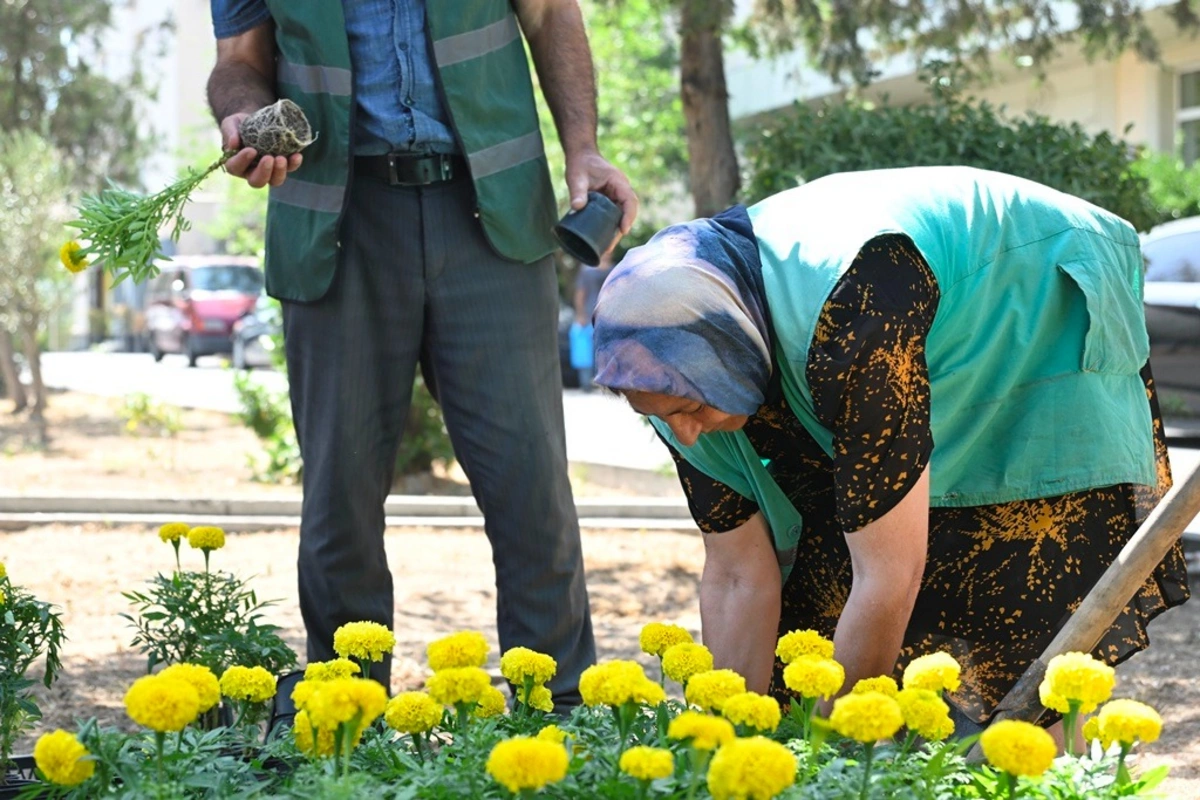 Bu gün Bakıda təmizlik işləri aparılıb Bu gün Bakıda təmizlik işləri aparılıb