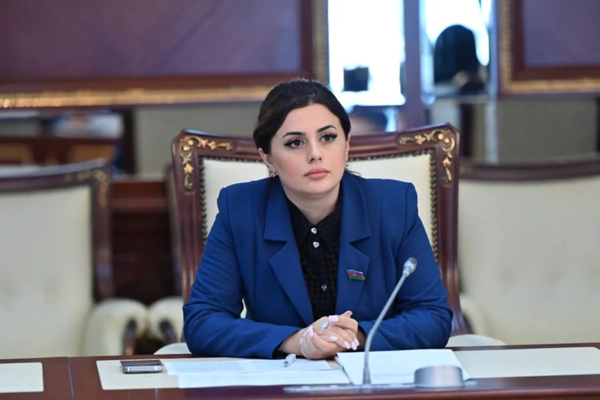 Pərvanə Vəliyeva: Azərbaycanda dağ-mədən sənayesinin illik maliyyə təsiri 1 milyard manatı ötəcək