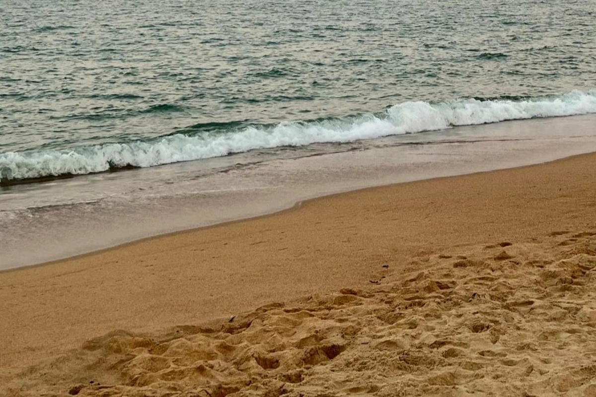 The famous actor was found dead on the beach