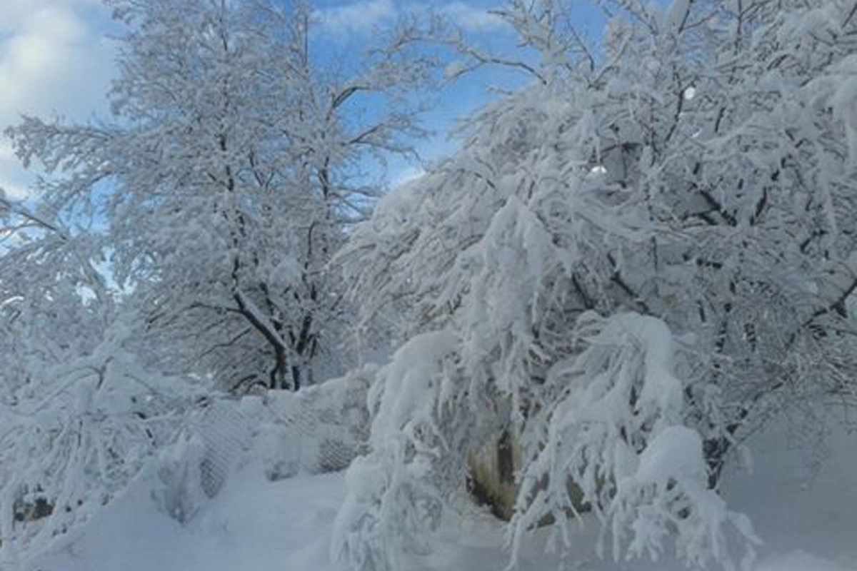 Şərurda qarın hündürlüyü 29 santımetrə çatıb - FAKTİKİ HAVA