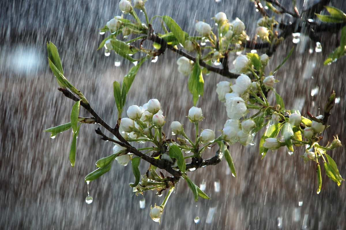 Əksər yerlərdə yağıntılı hava şəraiti davam edir - FAKTİKİ HAVA