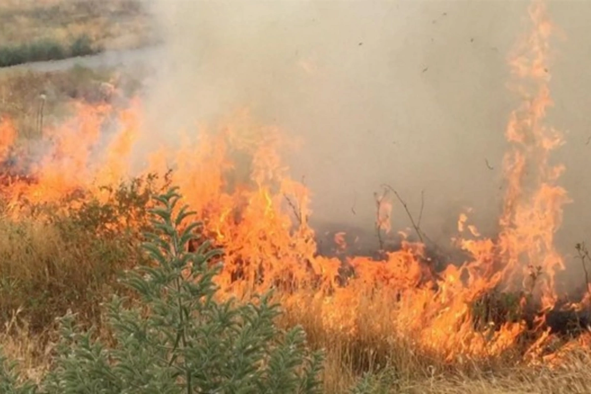 Azəriqazın əməkdaşı araq içib qonşusunun həyətinə od vurdu
