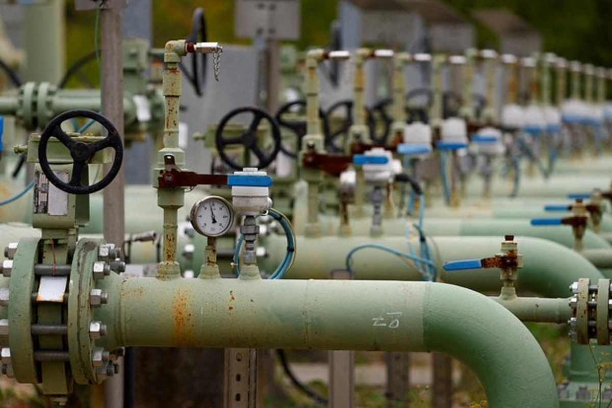 Avropada qazın qiyməti kəskin BAHALAŞIB