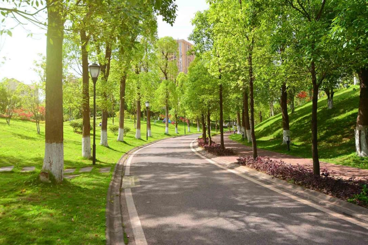 Bakının bu ərazisində nəhəng park salınır