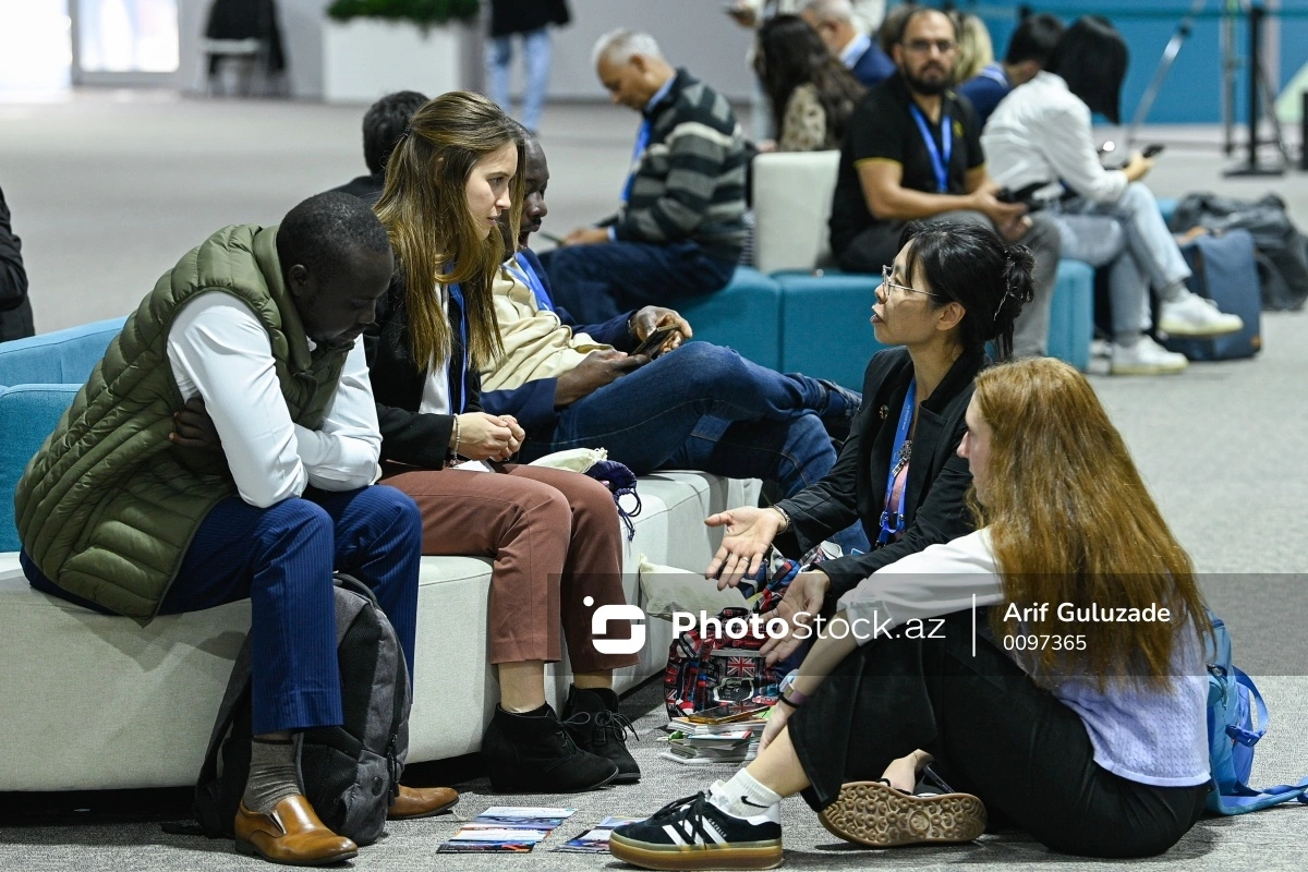 COP29-un 12-ci günündə iştirakçılar təəssüratlarını bölüşdülər: Əsas gözləntilər nələrdir? COP29-un 12-ci günündə iştirakçılar təəssüratlarını bölüşdülər: Əsas gözləntilər nələrdir?