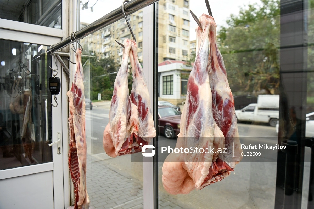 Təsərrüfat sahiblərini çıxılmaz vəziyyətə salan dabaq xəstəliyi - Ət bazarlarında son vəziyyət Təsərrüfat sahiblərini çıxılmaz vəziyyətə salan dabaq xəstəliyi - Ət bazarlarında son vəziyyət
