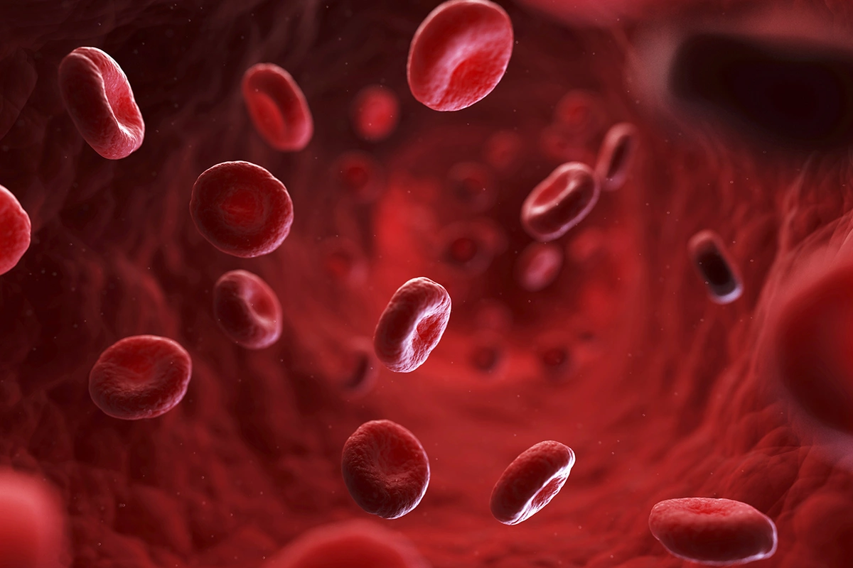 Blood type identified whose carriers are mostly long-livers Blood type identified whose carriers are mostly long-livers