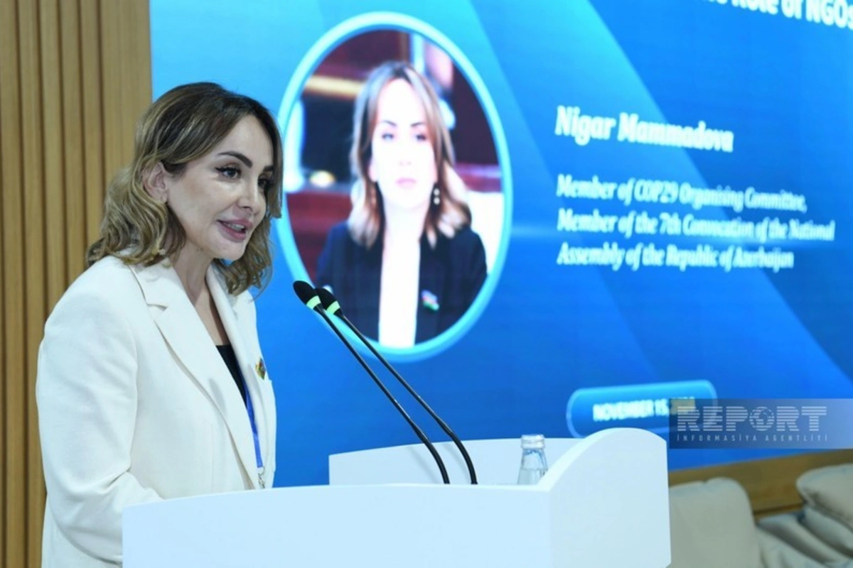 Nigar Məmmədova: Yaşıl iqtisadiyyata ədalətli keçid inklüzivlik tələb edir Nigar Məmmədova: Yaşıl iqtisadiyyata ədalətli keçid inklüzivlik tələb edir