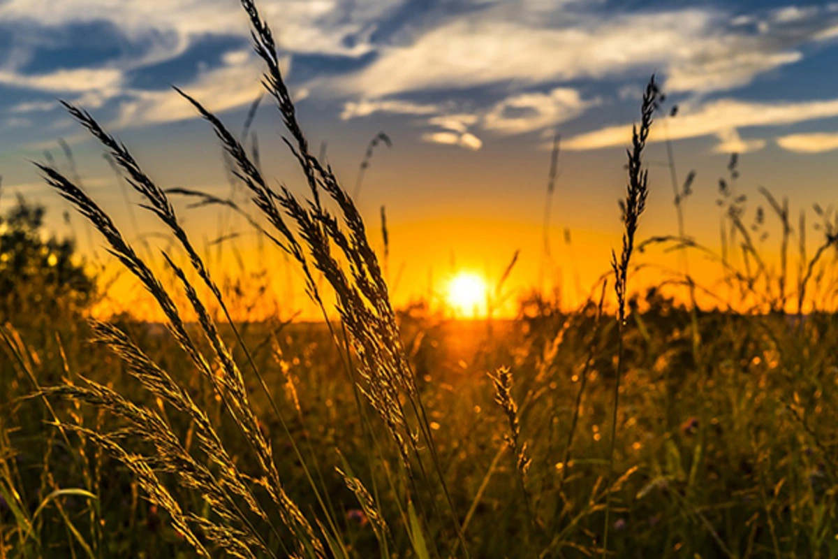 Sabah hava əsasən yağmursuz, bəzi yerlərdə dumanlı olacaq - HAVA PROQNOZU