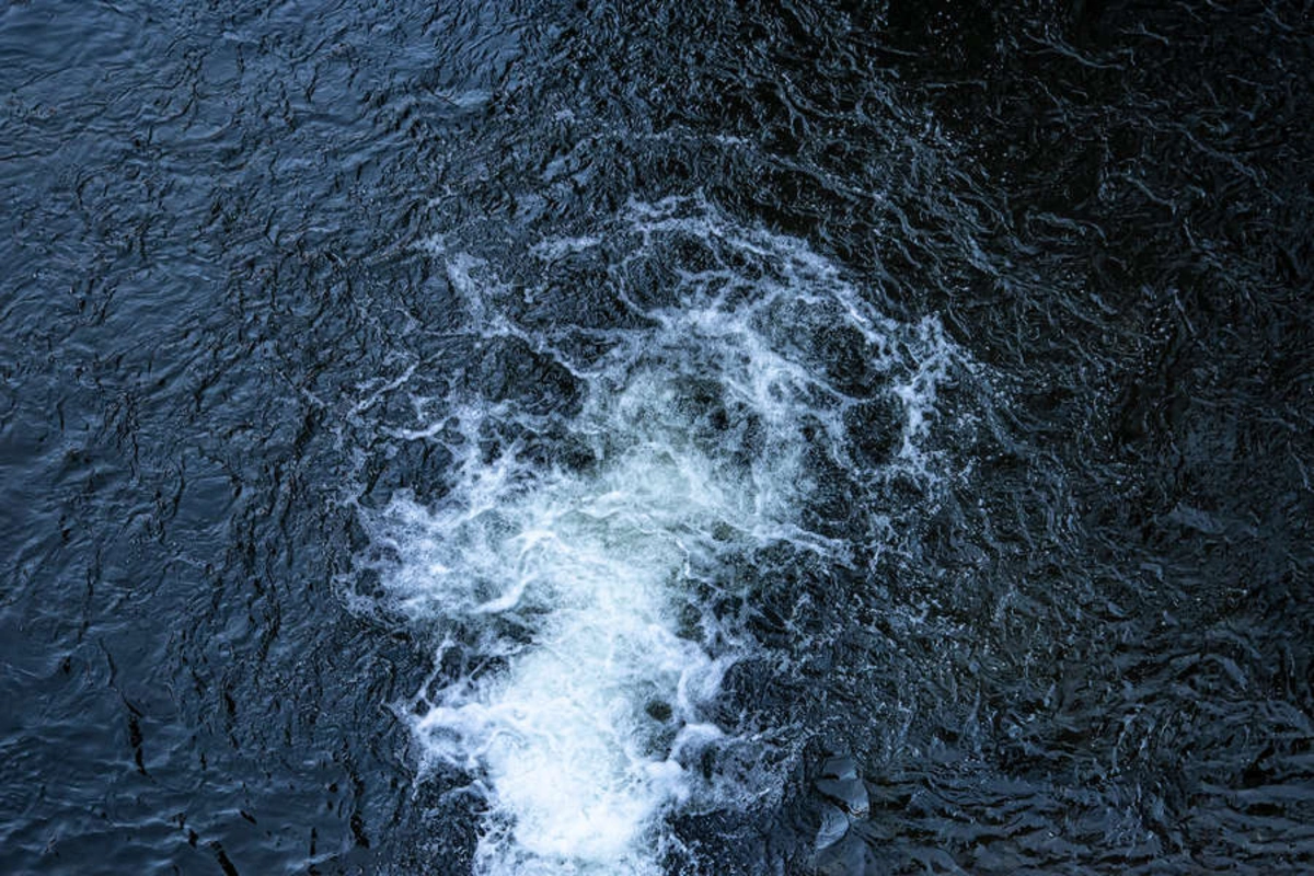 Scientists have discovered hundreds of mysterious giant viruses in oceans around the world Scientists have discovered hundreds of mysterious giant viruses in oceans around the world