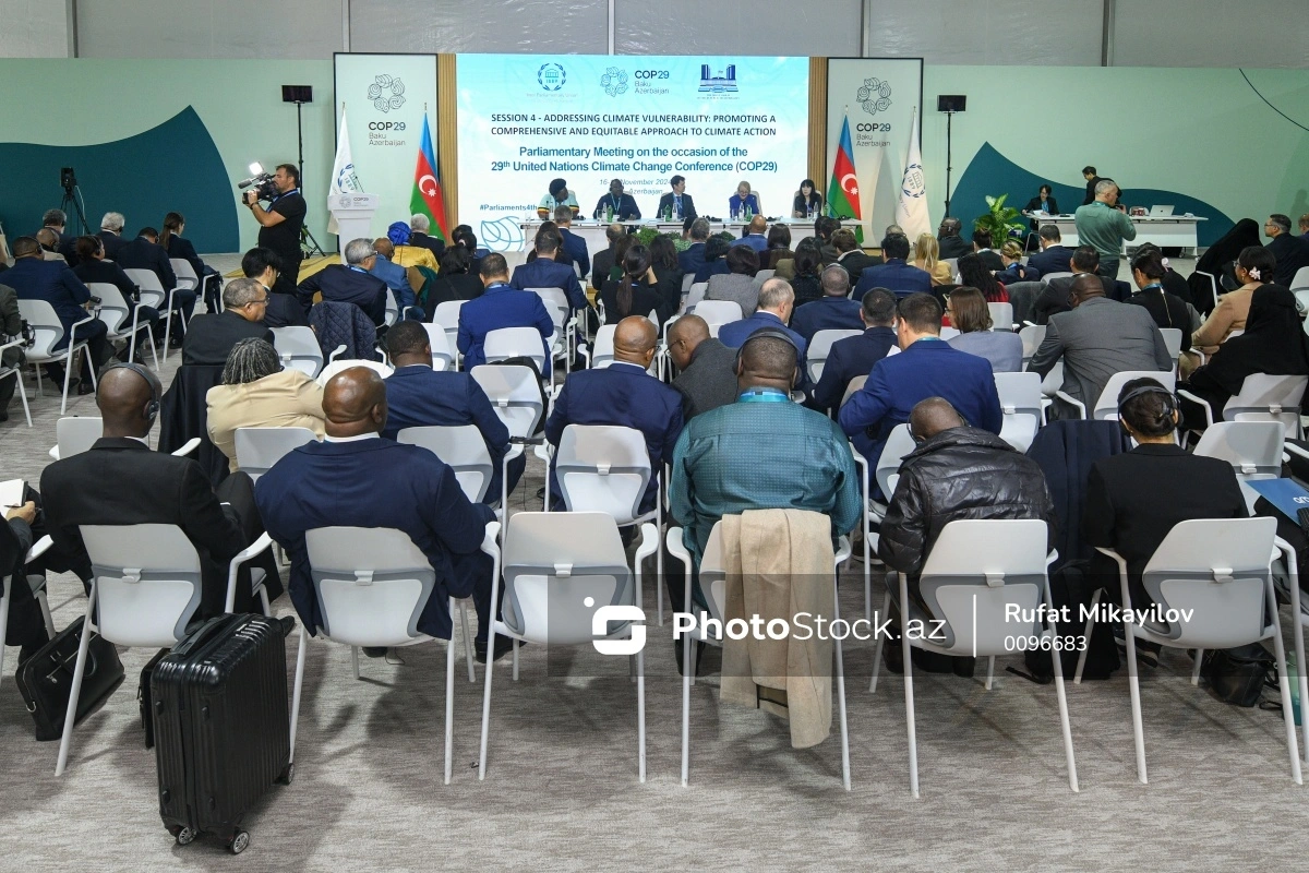 В Баку принят документ по итогам Парламентской встречи в рамках COP29
