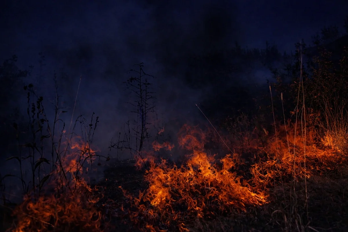 Şəkidə güclü yanğın olub