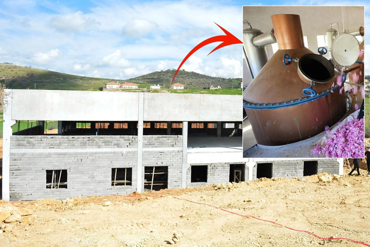 Məşhur müğənni evlərini və maşınlarını satıb, kənddə 10 milyona zavod açdı