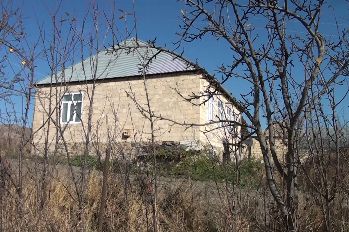 Gədəbəydə ata ilə oğulun mübahisəsi qanlı bitdi: Hadisənin şahidi DANIŞDI