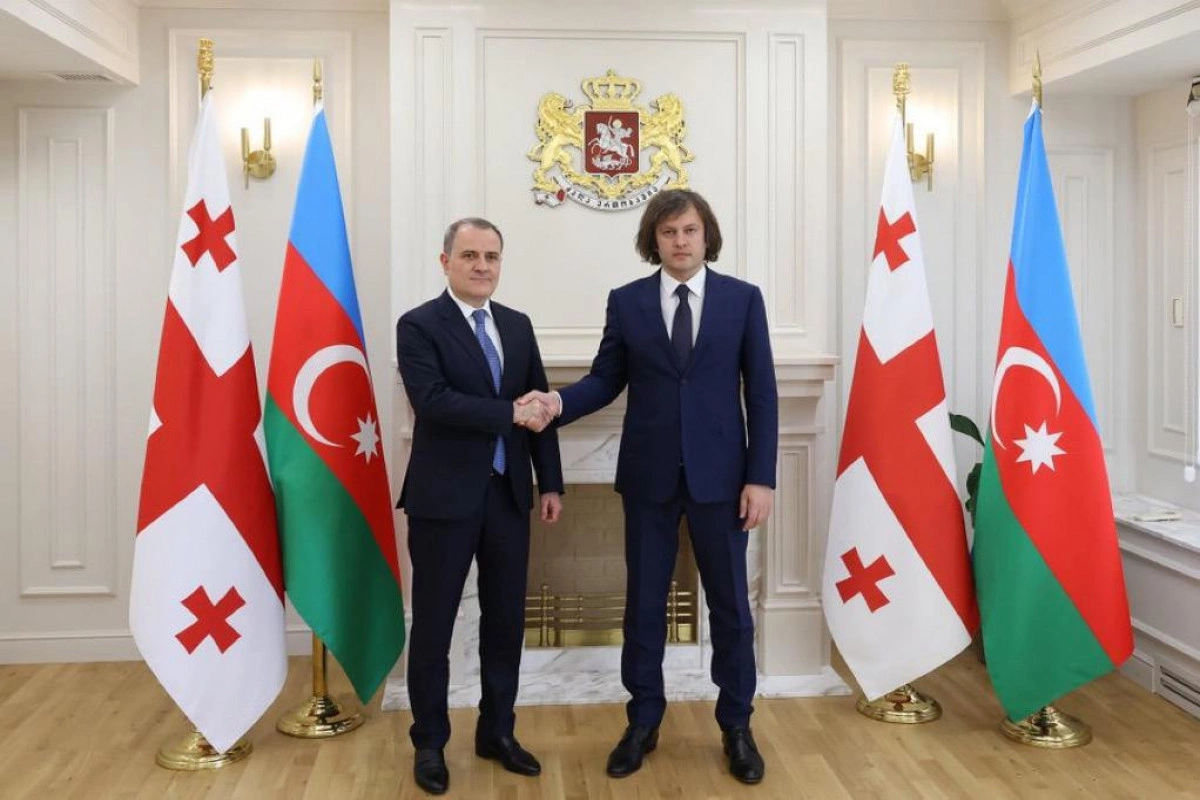 Kobaxidze Ceyhun Bayramovu qəbul edib Kobaxidze Ceyhun Bayramovu qəbul edib