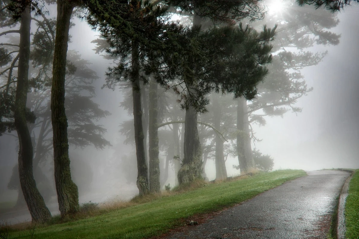 Dumanlı hava sabah da davam edəcək - PROQNOZ