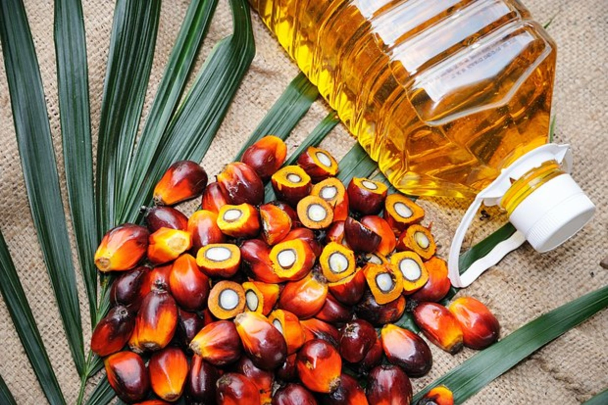 # Doctor Named the Main Myth About Palm Oil # Doctor Named the Main Myth About Palm Oil