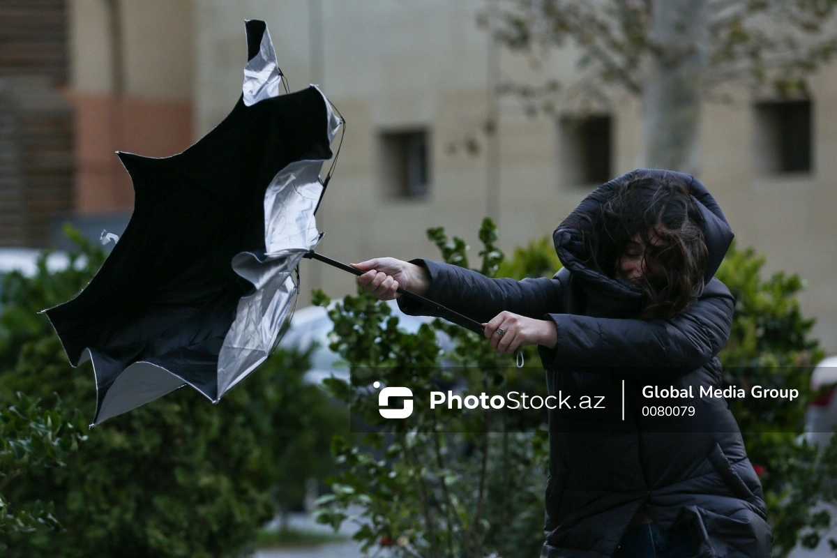МЧС обратилось к населению в связи с ветреной погодой
