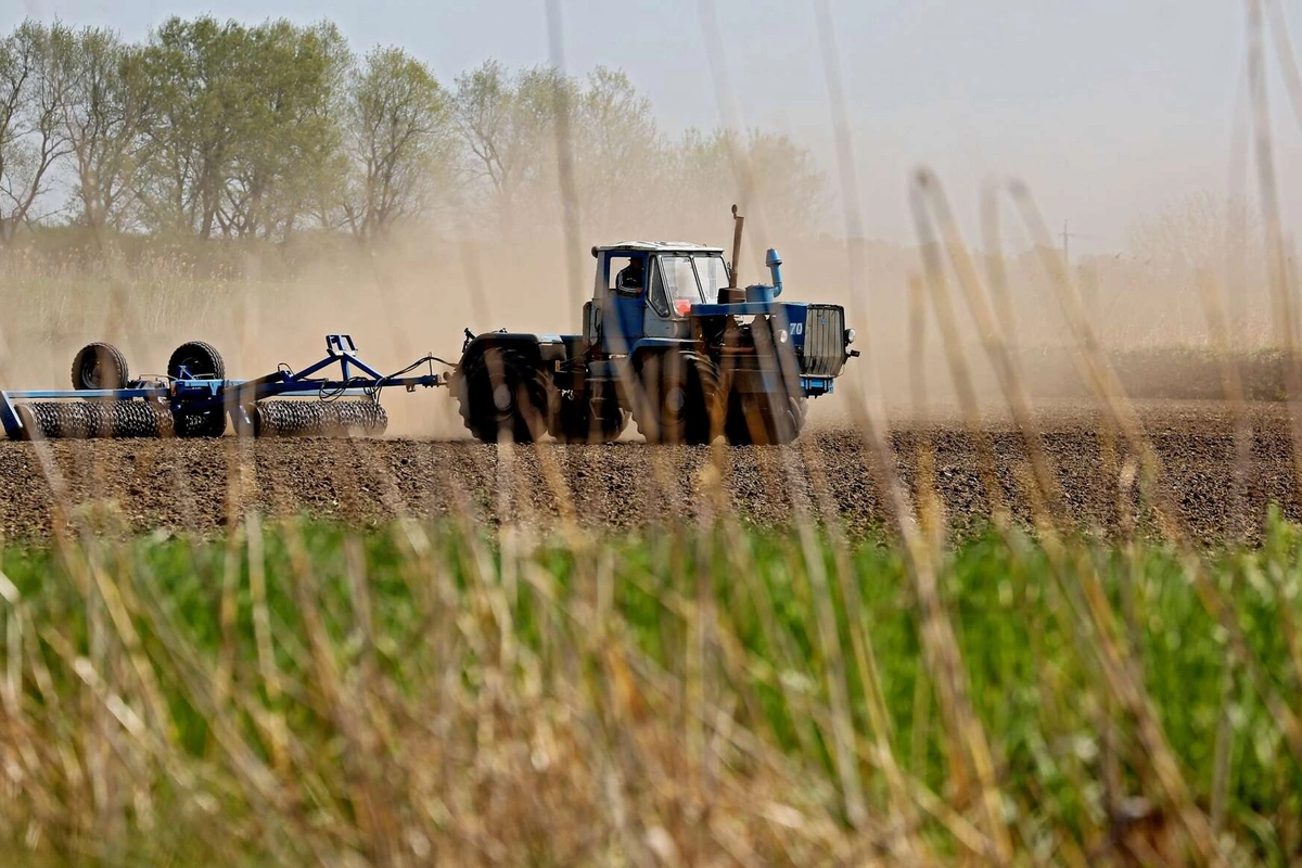 Azərbaycanda payızlıq əkinlərə görə subsidiya alanların sayı 278 minə çatıb