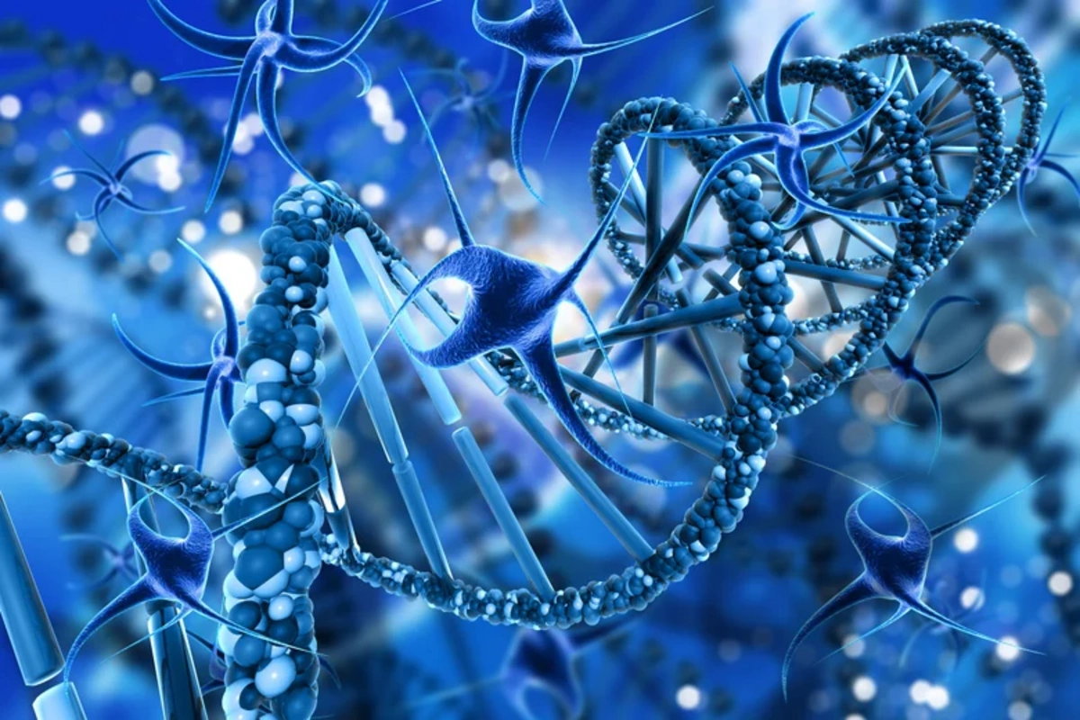 Scientists have identified an unexpected factor in human DNA evolution