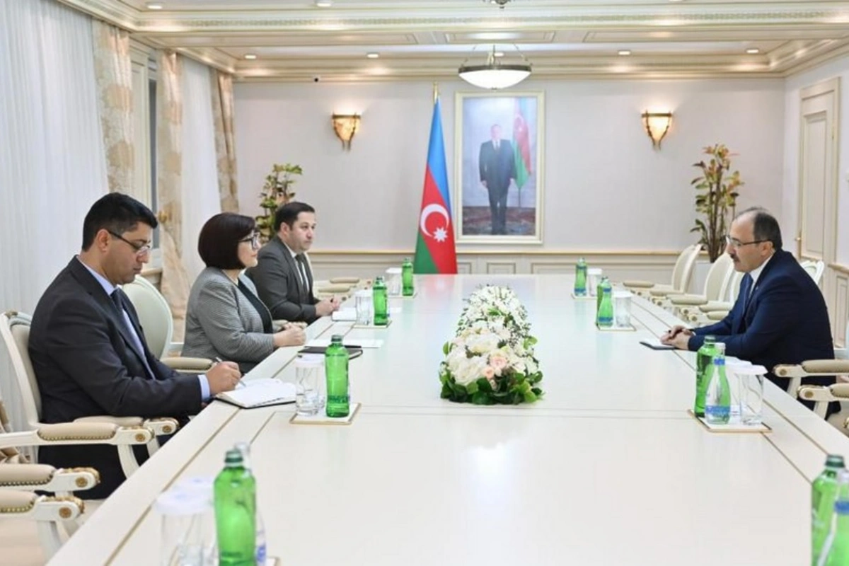Sahibə Qafarova Türkiyə səfirini qəbul edib Sahibə Qafarova Türkiyə səfirini qəbul edib