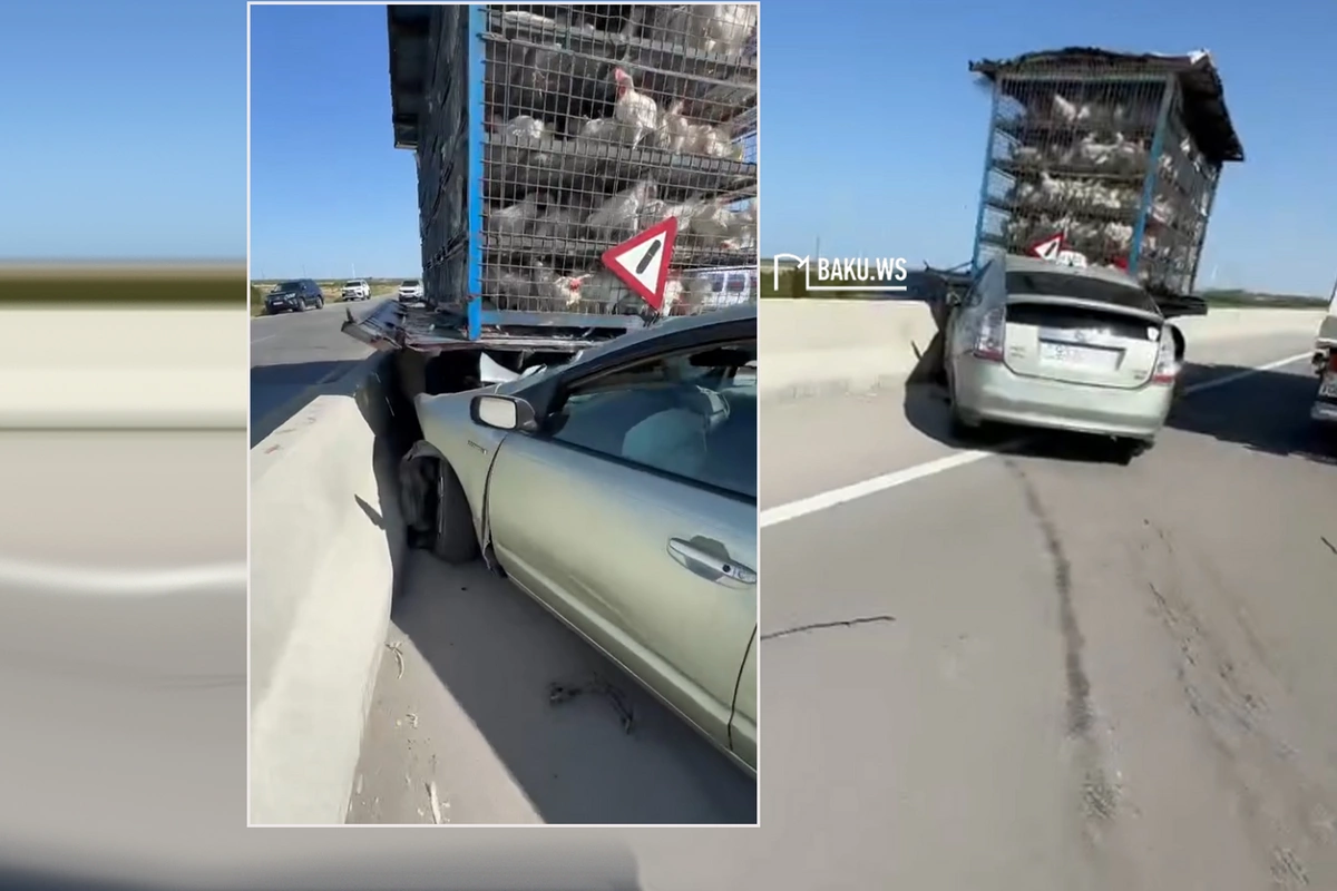 Prius toyuq daşıyan yük maşınına çırpılıb Prius toyuq daşıyan yük maşınına çırpılıb