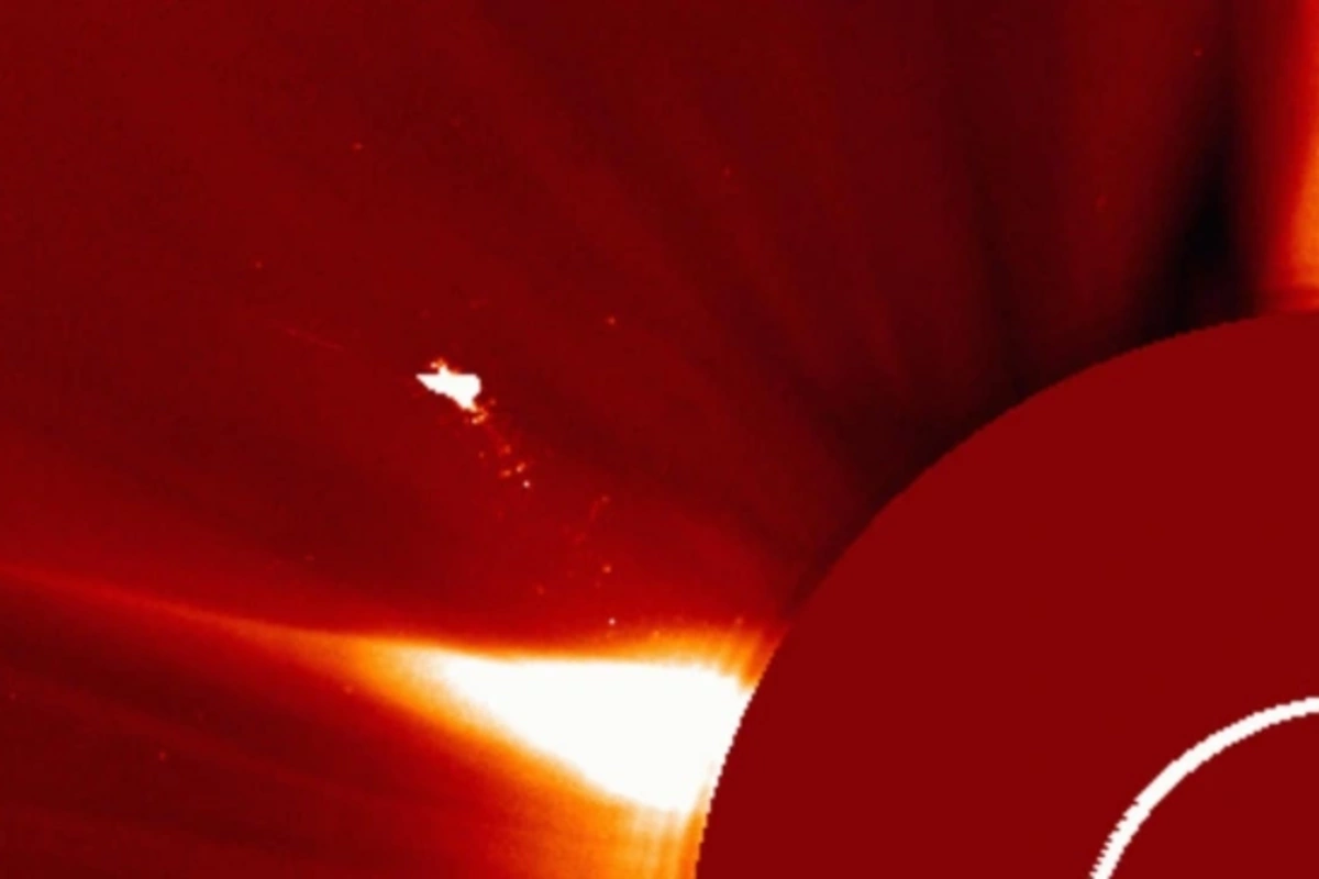 A mysterious bird larger than Earth discovered above the Sun## Ignore this text: 281639044701 A mysterious bird larger than Earth discovered above the Sun## Ignore this text: 281639044701