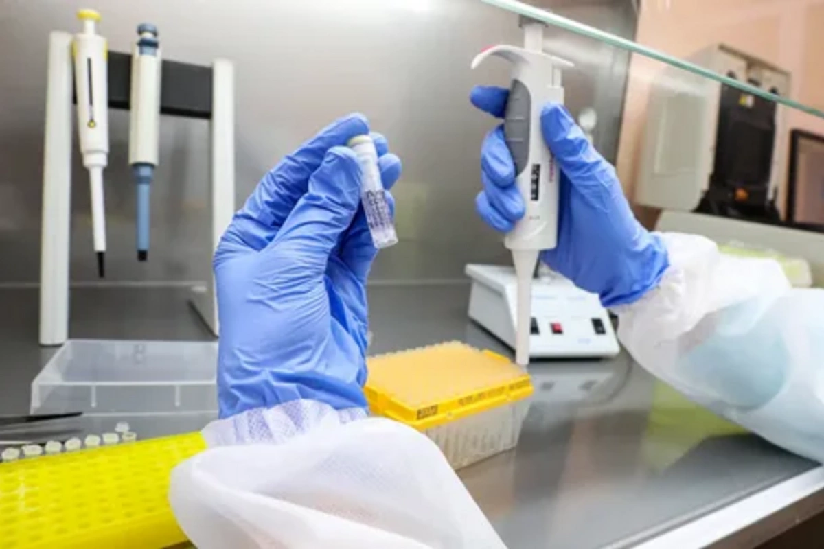 Named the cause of the largest outbreak of a dangerous disease in Europe in 70 years Named the cause of the largest outbreak of a dangerous disease in Europe in 70 years