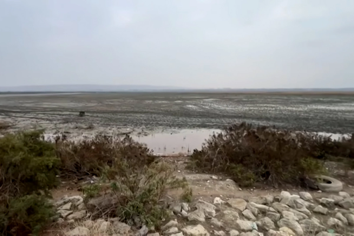 Azərbaycanın ən böyük göllərindən biri QURUYUR: Ekoloqlar həyəcan təbili çalırlar