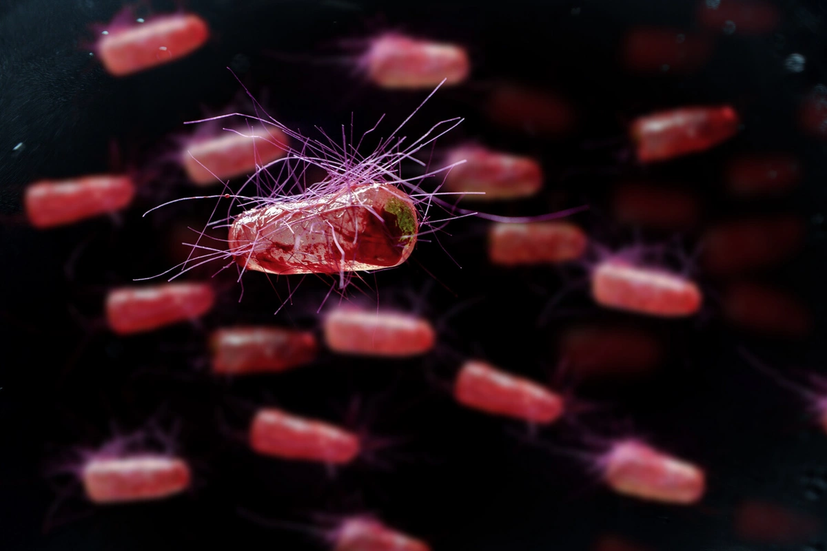 Scientists have created a weight loss product based on natural substances