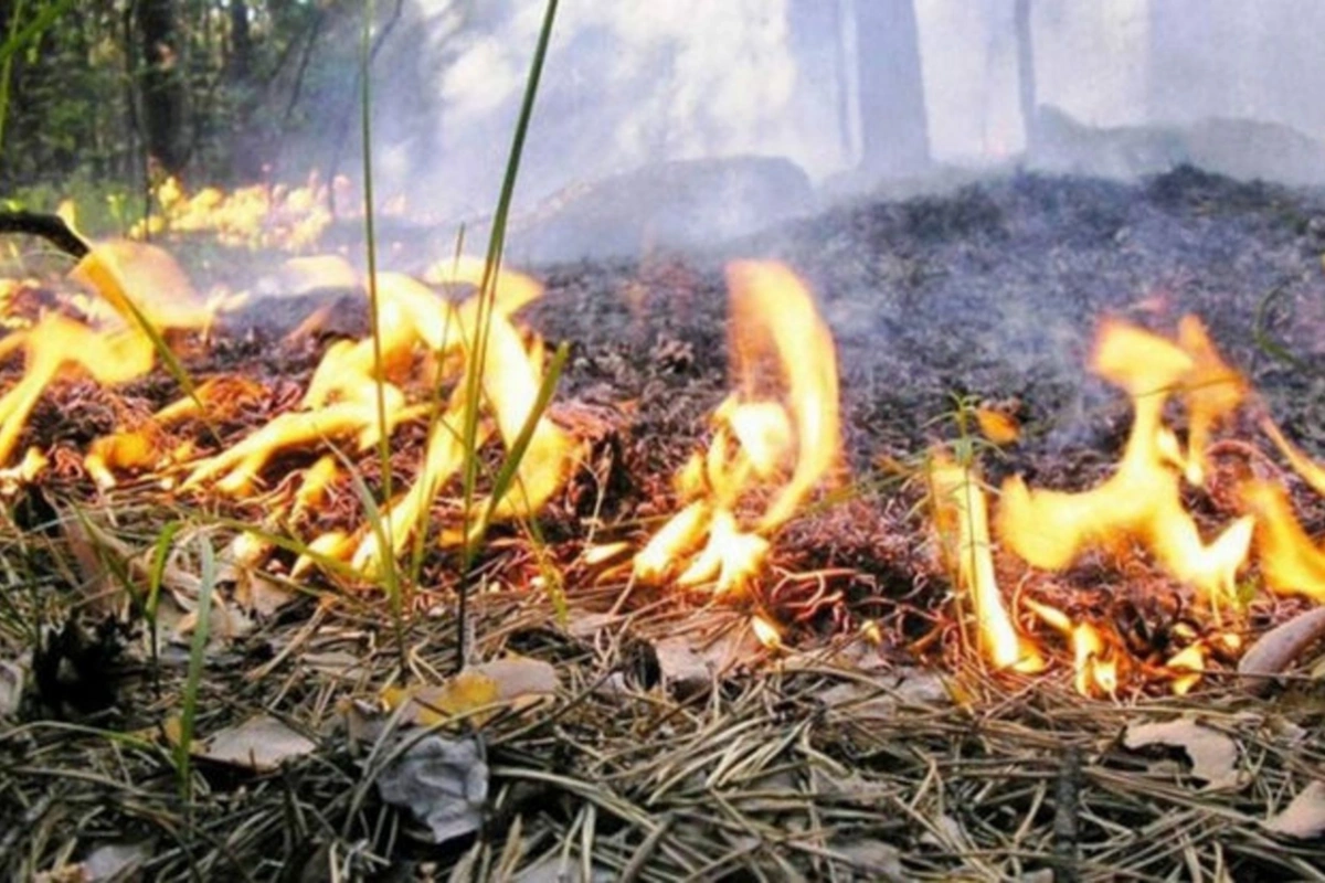 Kəlbəcərdə açıq ərazidə yanğın başlayıb