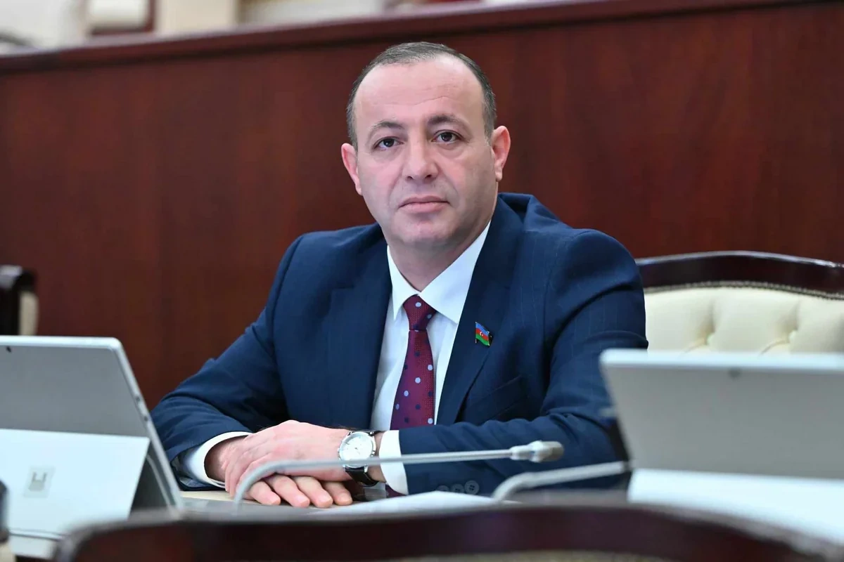 Avropa Parlamentinin mövqeyi ikili standartların göstəricisidir
