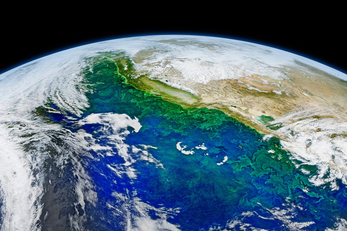 A new continent is emerging on Earth