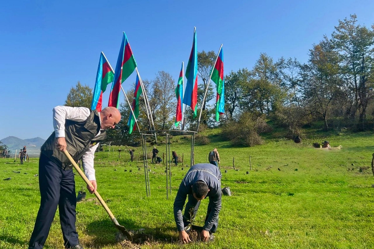 Zəfər Günü ilə əlaqədar 30 mindən artıq ağac əkildi