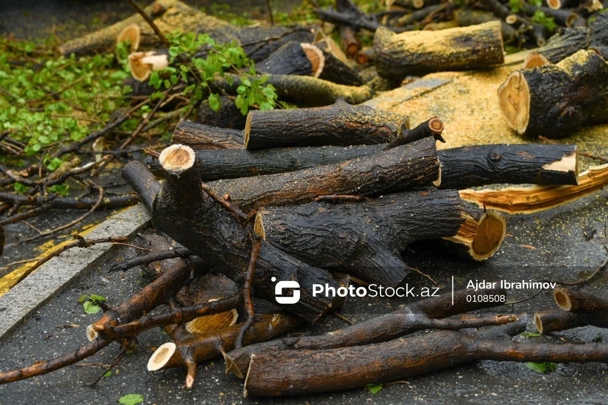 Qubanın kəndində qaz PROBLEMİ: Bəzi ailələr odun da tapa bilmirlər